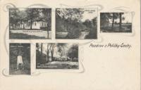 Hp_0310_1_a