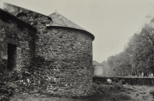 Hf_2561